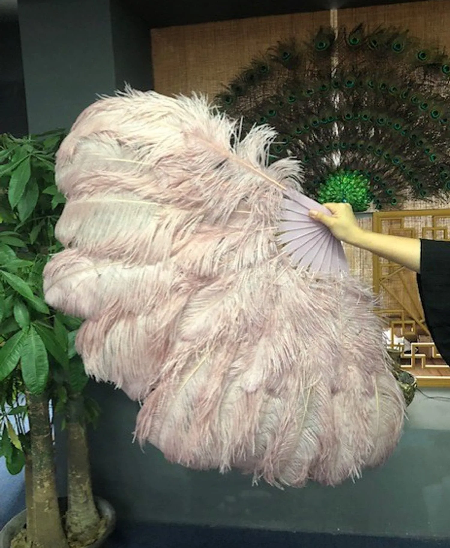 Beige wood intermediate 2 layers Ostrich Feather Fan 30"x 54"