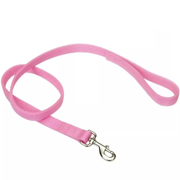 Coastal Double-Ply Nylon Dog Leash