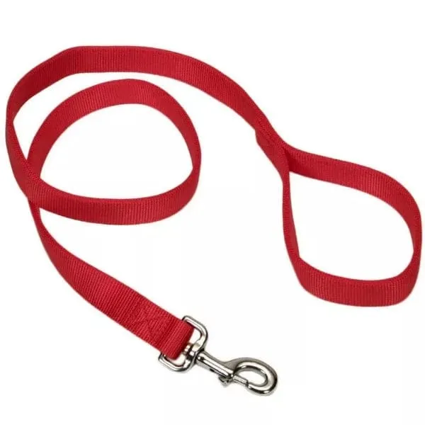 Coastal Double-Ply Nylon Dog Leash