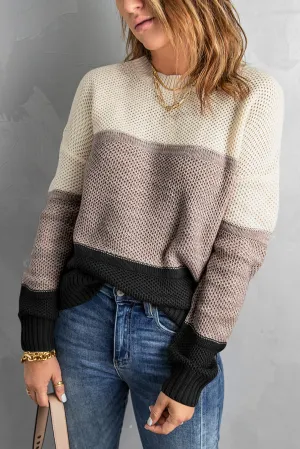 Color Block Netted Texture Pullover Sweater