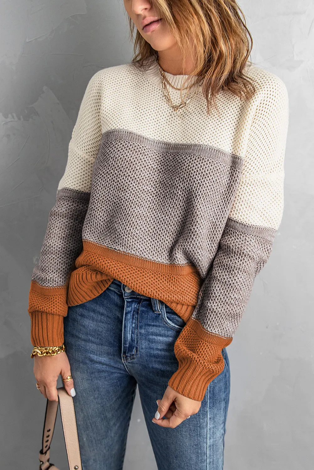 Color Block Netted Texture Pullover Sweater