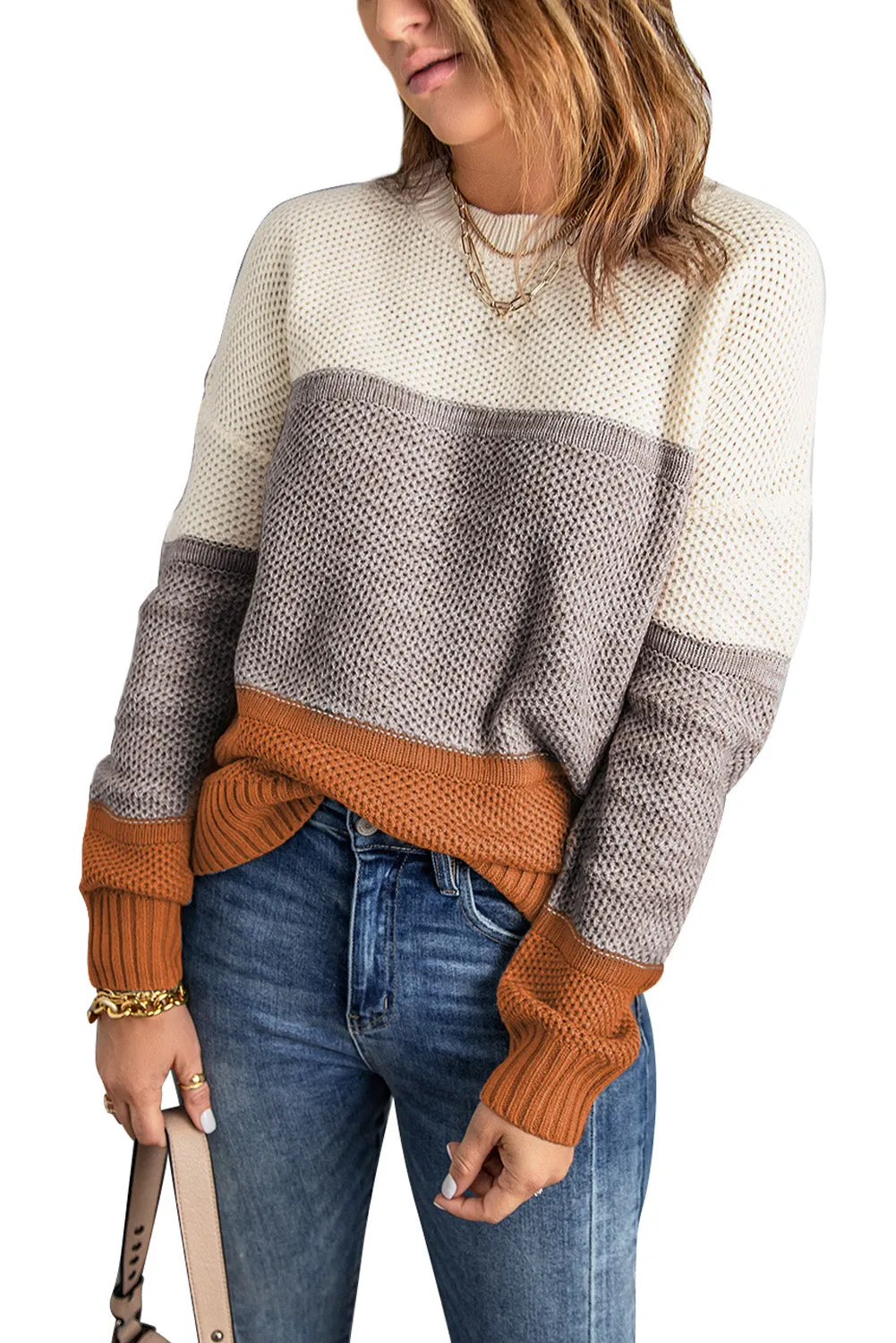 Color Block Netted Texture Pullover Sweater