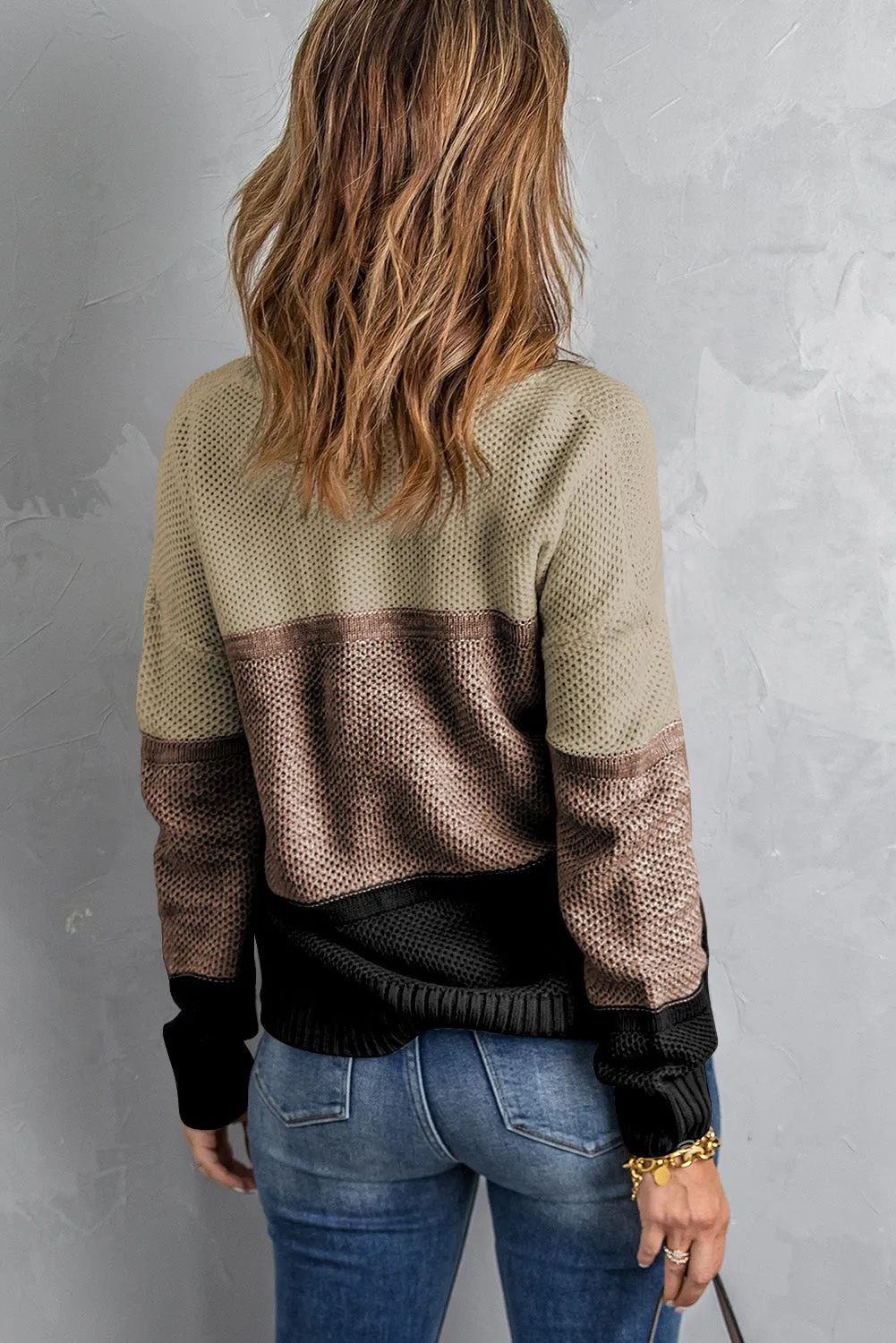 Color Block Netted Texture Pullover Sweater