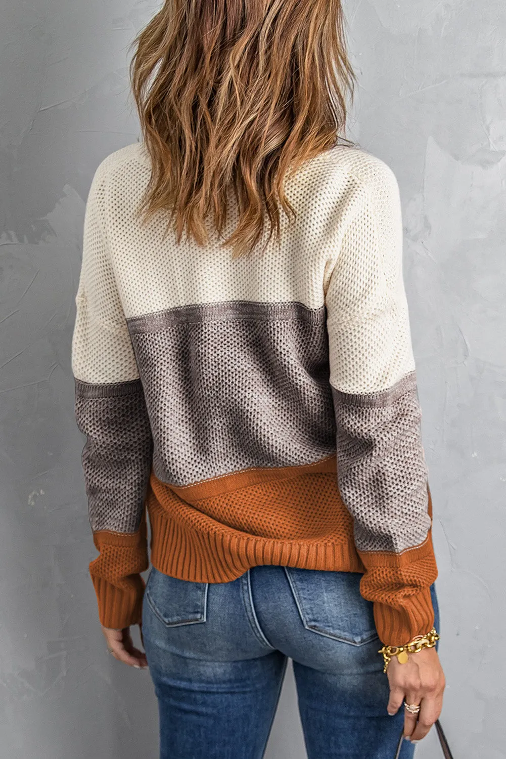 Color Block Netted Texture Pullover Sweater