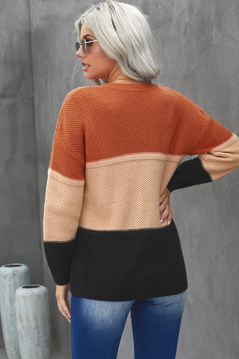 Color Block Netted Texture Pullover Sweater