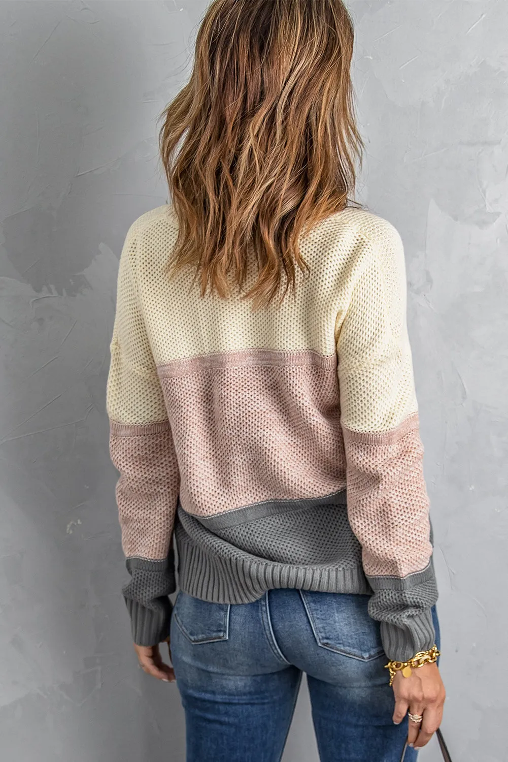 Color Block Netted Texture Pullover Sweater