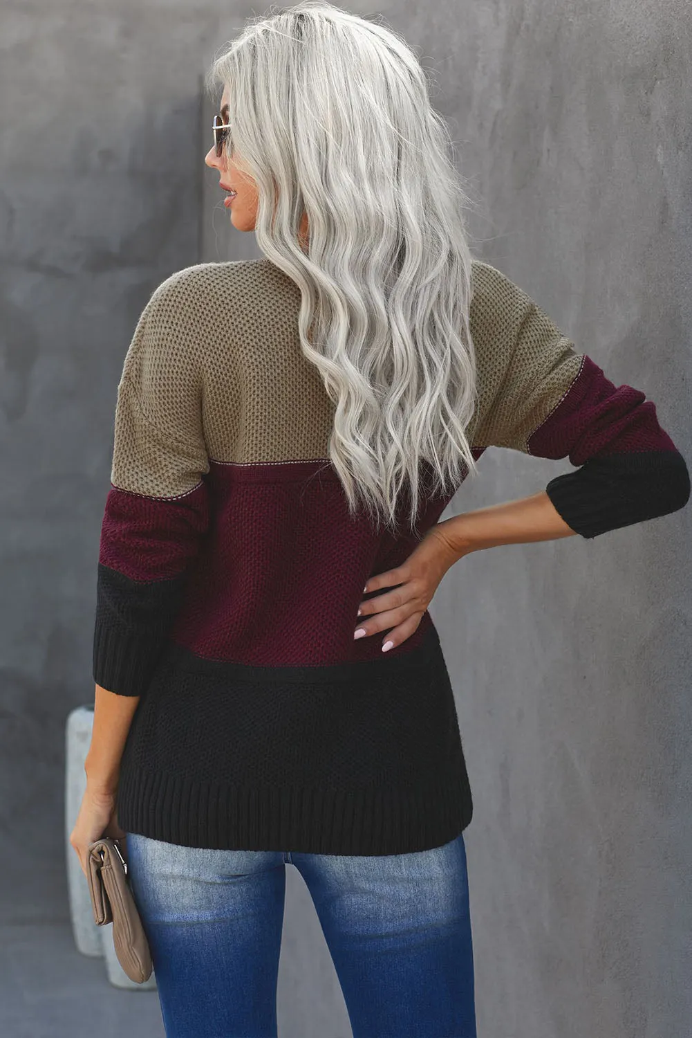 Color Block Netted Texture Pullover Sweater