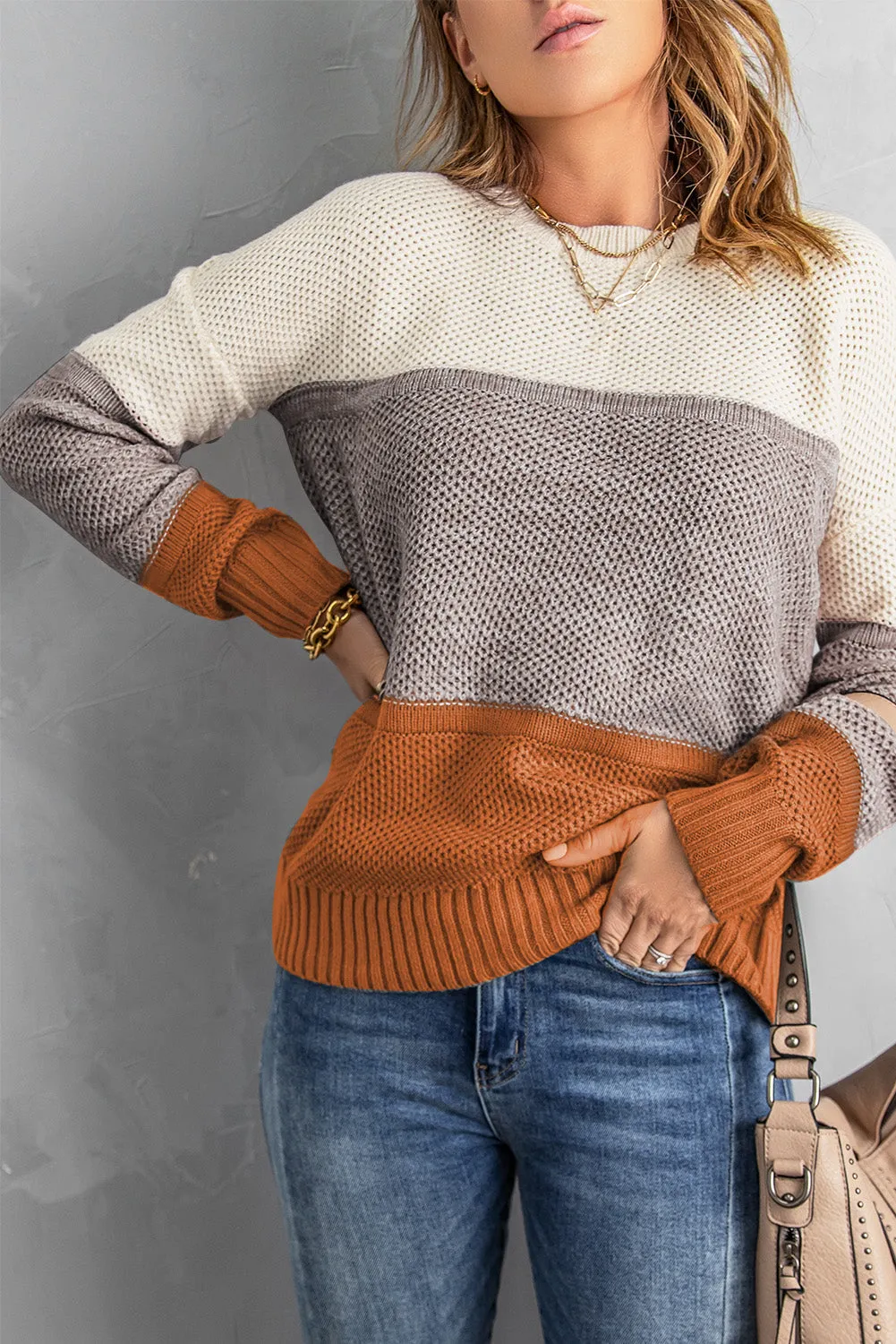 Color Block Netted Texture Pullover Sweater