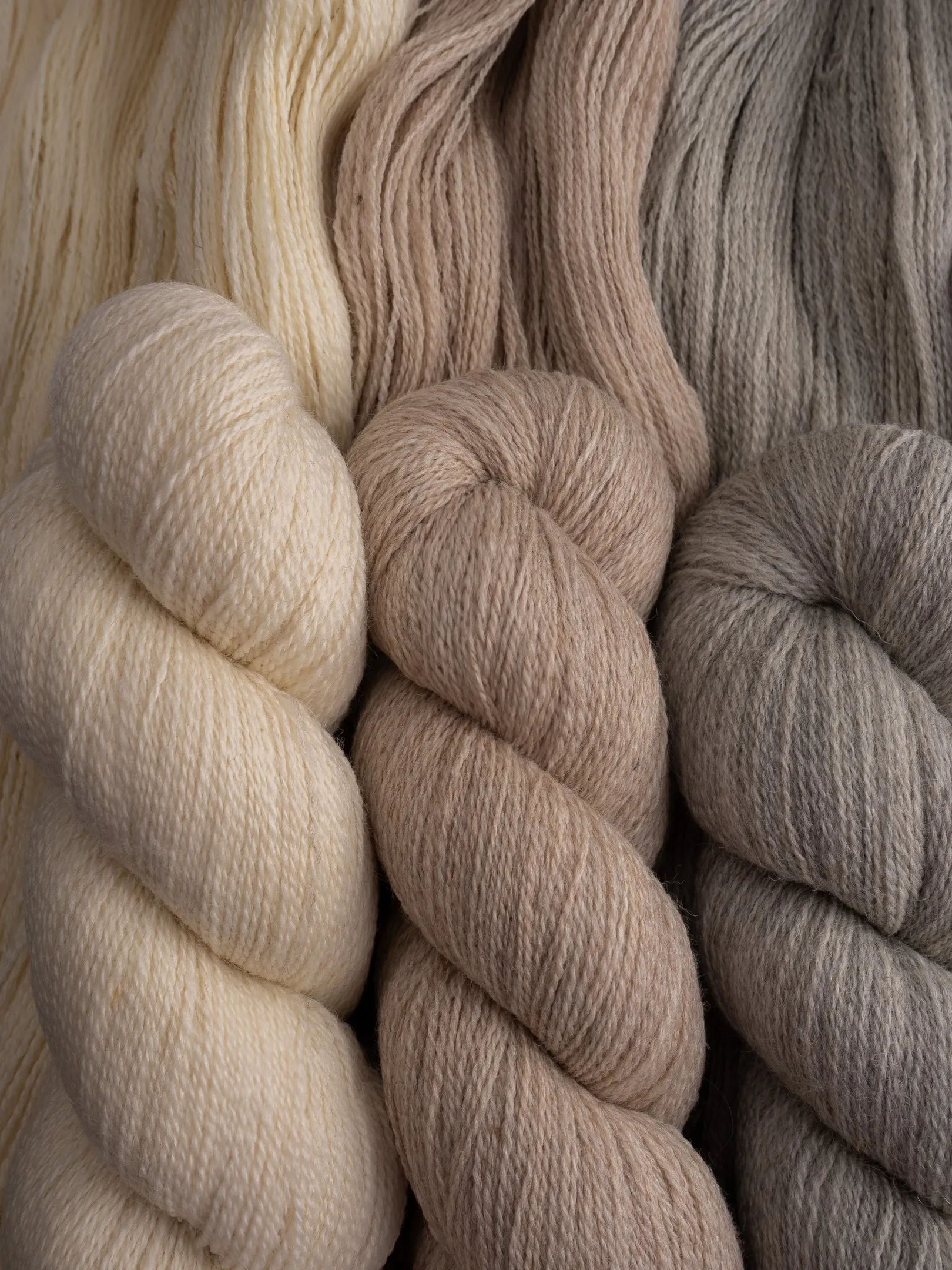 Kent Lace <br><small>merino & romney</small>